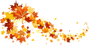 Fall_Leaves_Transparent_Picture.png